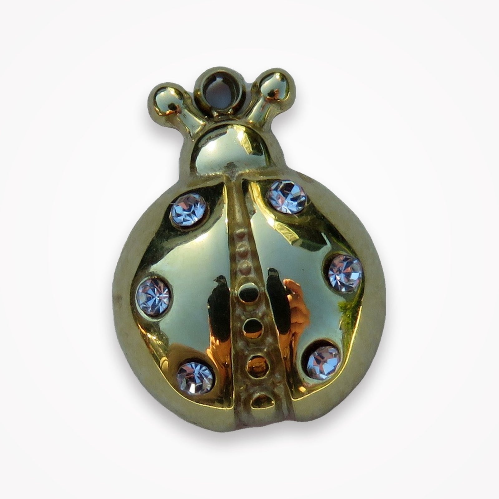 Ladybug Charm