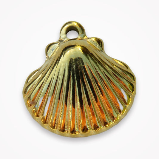 Shell Charm
